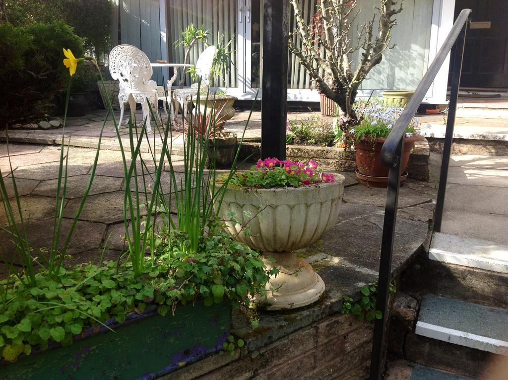 Braeside Guesthouse Exeter Eksteriør bilde
